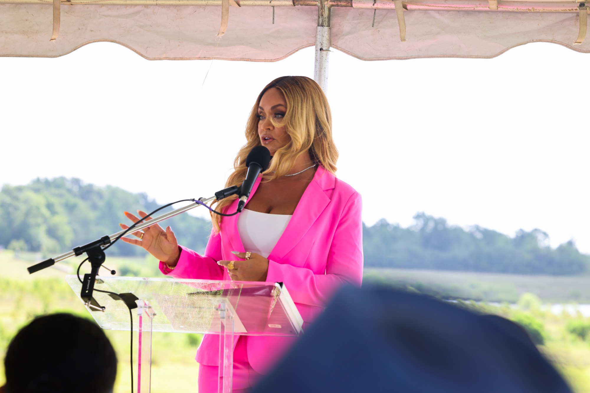 Photo from the Curtis Graves Park ribbon cutting and reception